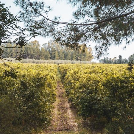 Borgo Valle Rita Tarent Zewnętrze zdjęcie